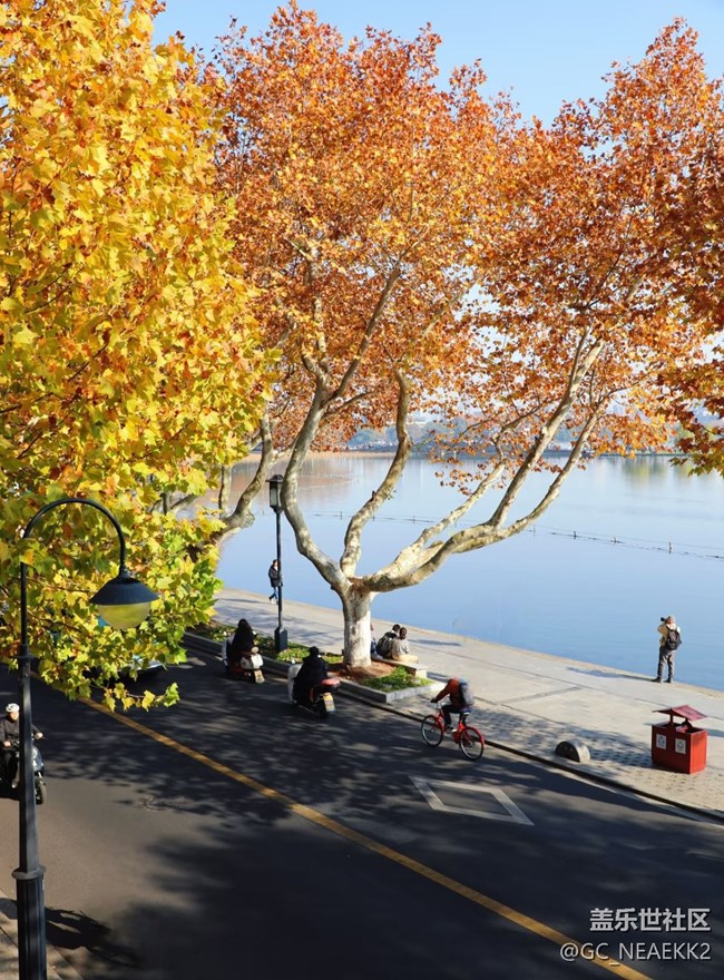 【街巷秋痕】秋意满满