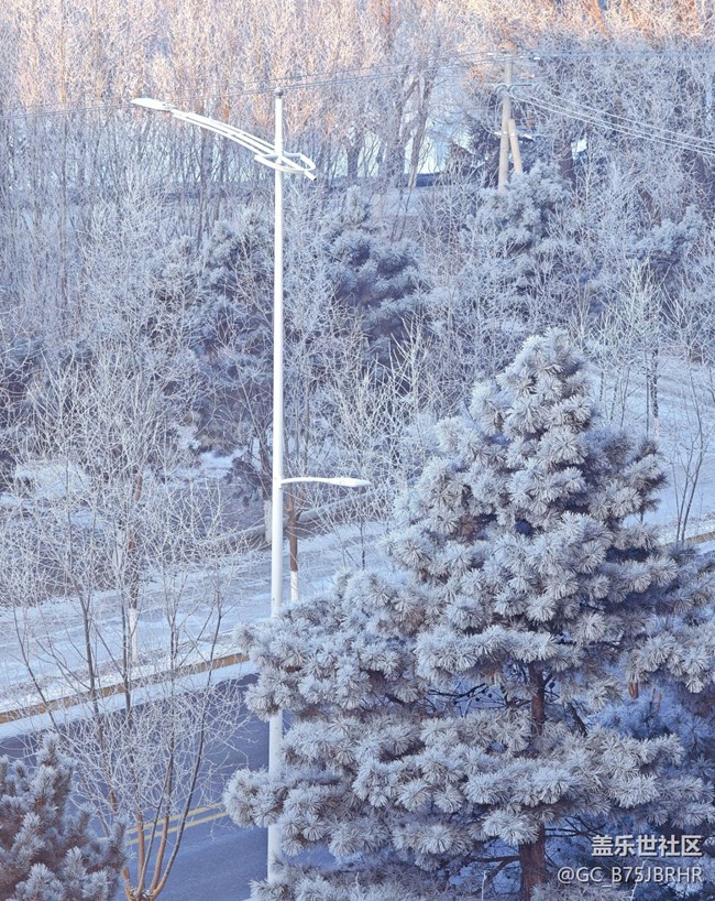 【银装视界】大雪