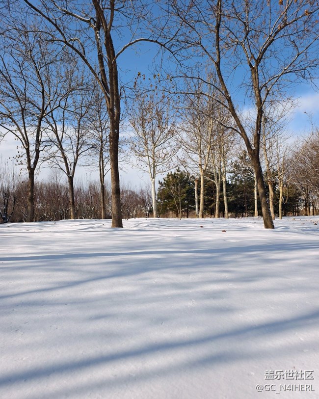 【银装视界】素雪凝枝，静绘冬韵