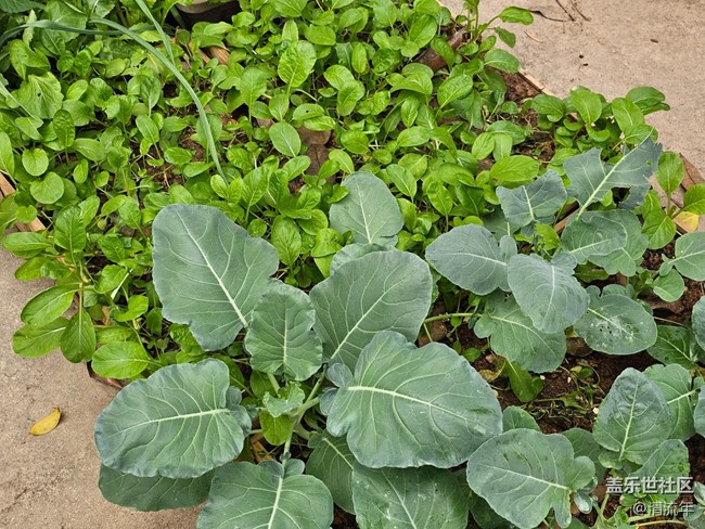 【捕捉那一抹金】生活痕迹