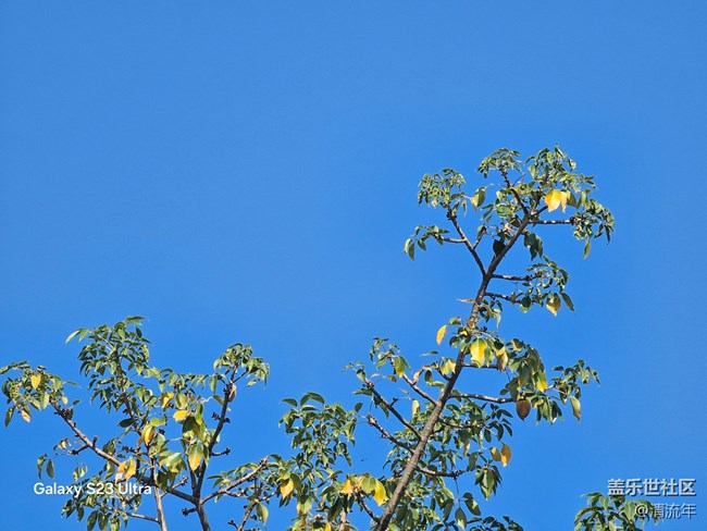 【三星视界】好天气