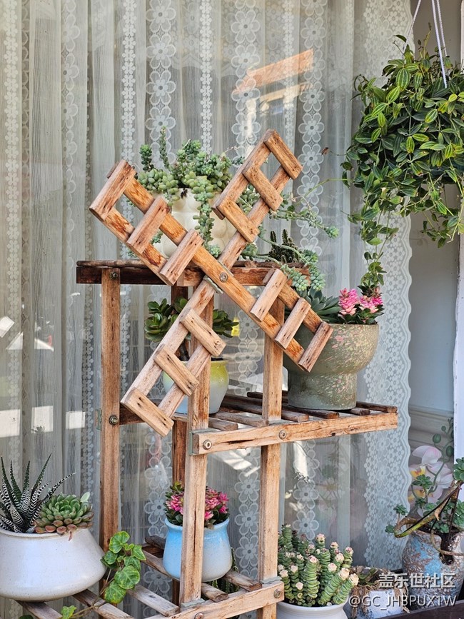 【地域拼图】圣诞氛围