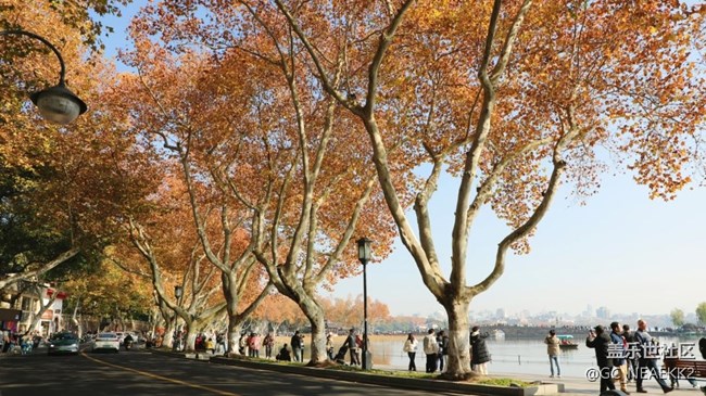 【街巷秋痕】秋意满满