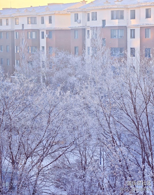【银装视界】大雪