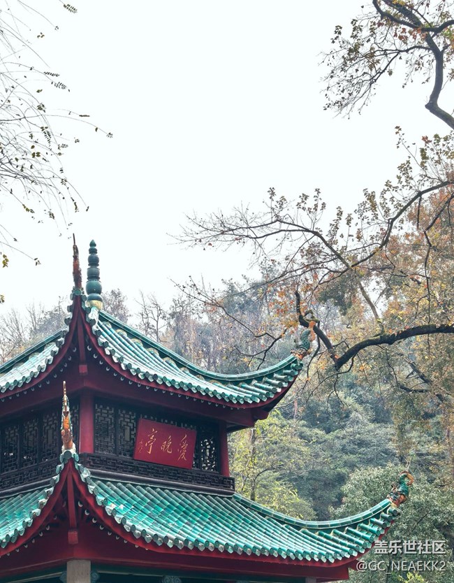 【秋末山景】枫叶红了