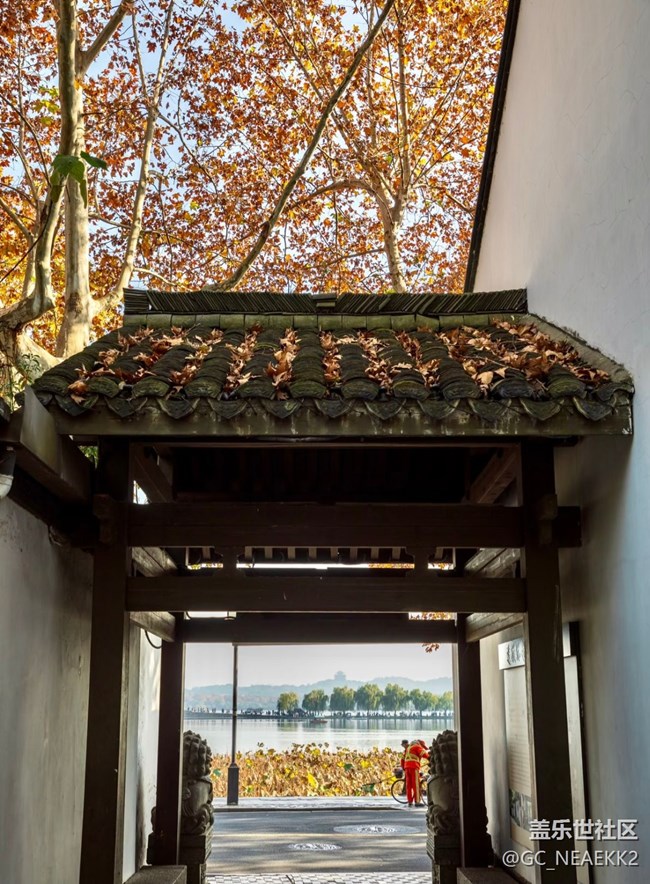 【街巷秋痕】秋意满满