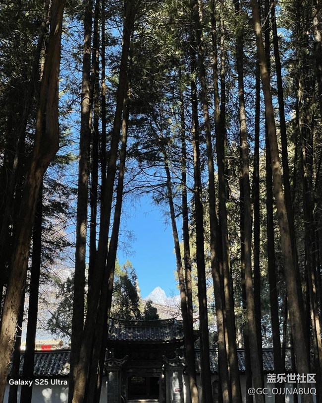 【三星视界】阳光正好