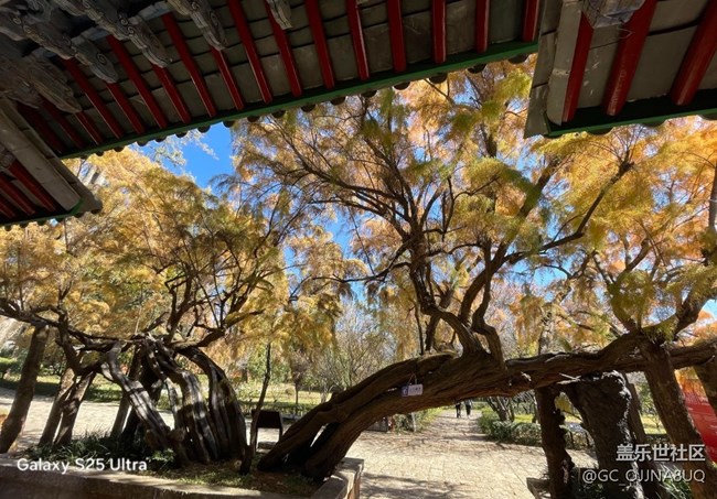 【三星视界】阳光正好