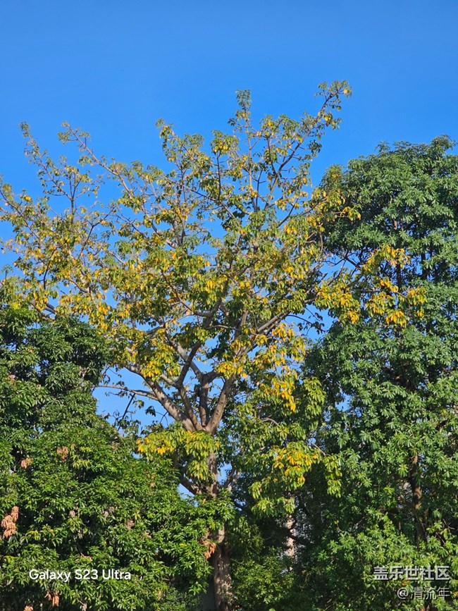 【三星视界】好天气