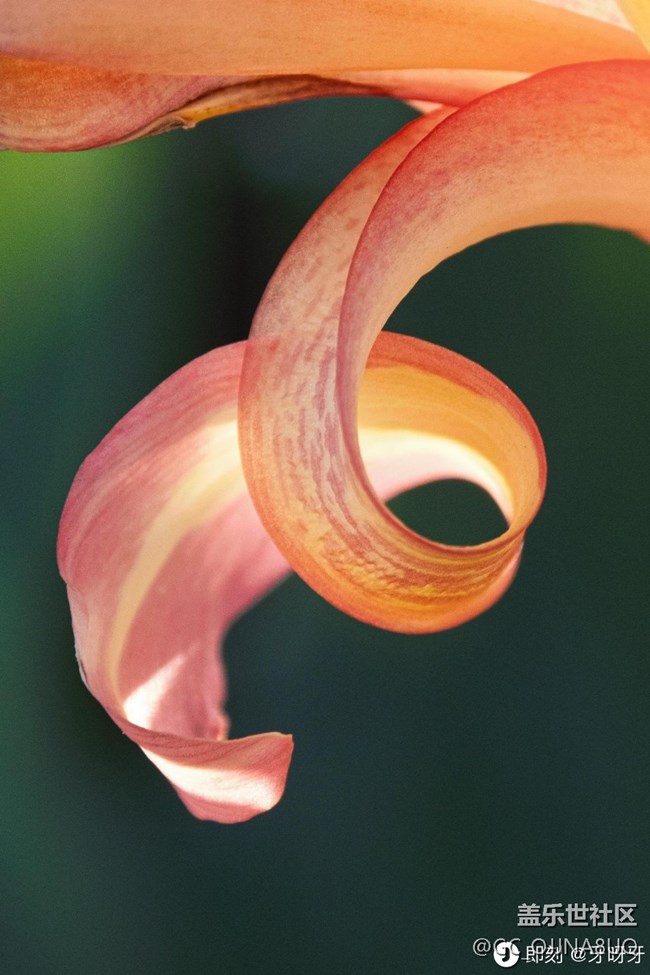 【秋末山景】秋意缀芳华