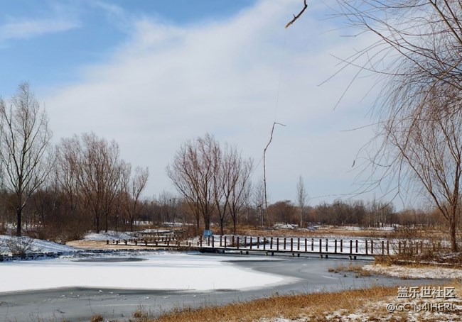 【银装视界】素雪凝枝，静绘冬韵