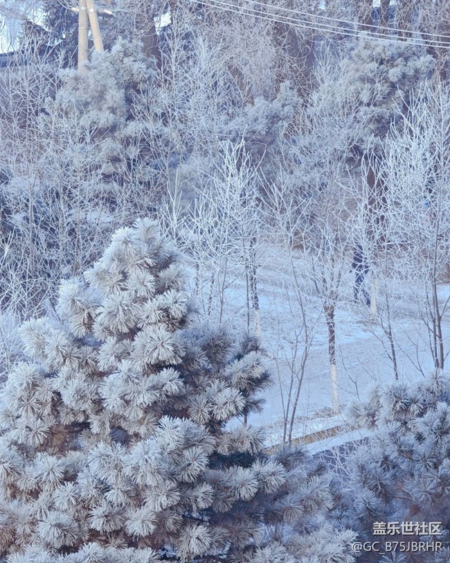 【银装视界】大雪