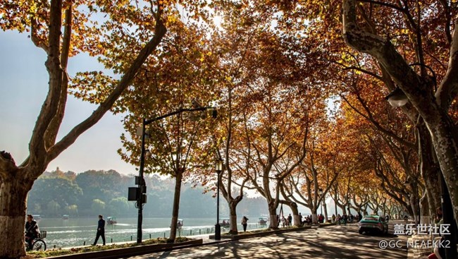 【街巷秋痕】秋意满满