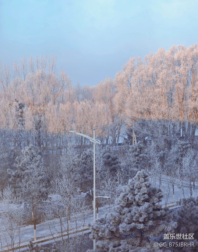 【银装视界】大雪
