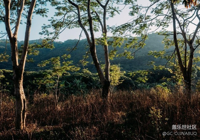 【秋末山景】秋意缀芳华