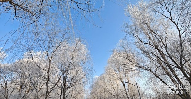 【银装视界】大雪