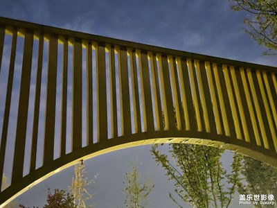 【顺光逆光】绿意光影