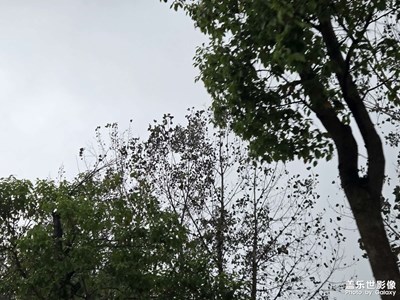 【顺光逆光】越来越冷