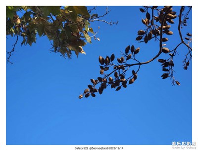 【顺光逆光】+晦明相交