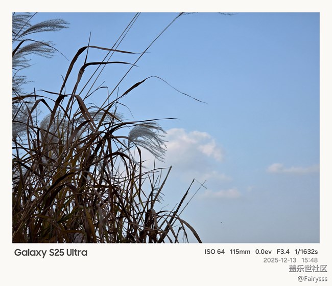 Galaxy S25 Ultra随手拍