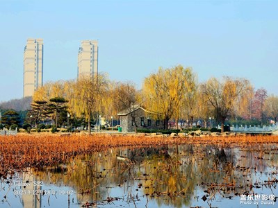 【时光留痕】+两种生活