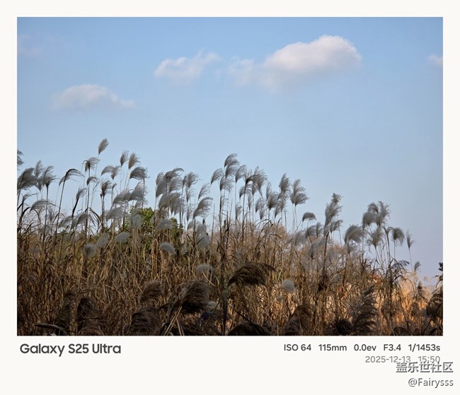 Galaxy S25 Ultra随手拍
