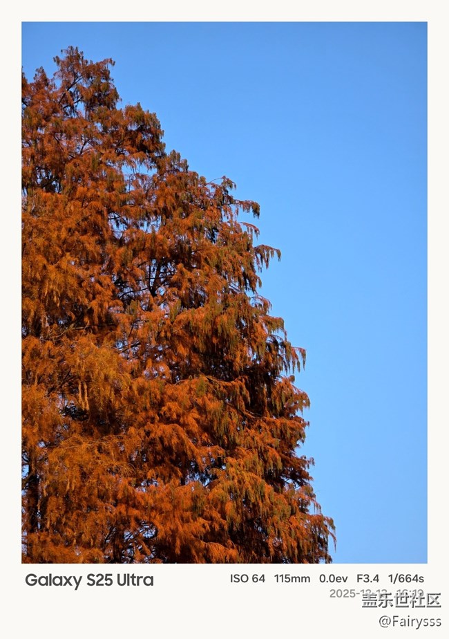 Galaxy S25 Ultra随手拍