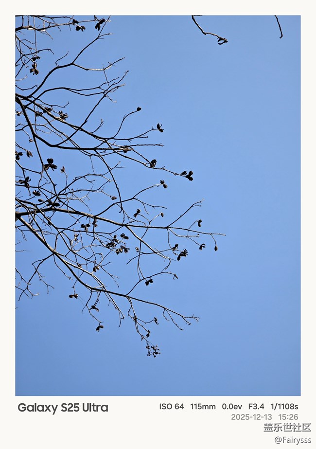 Galaxy S25 Ultra随手拍