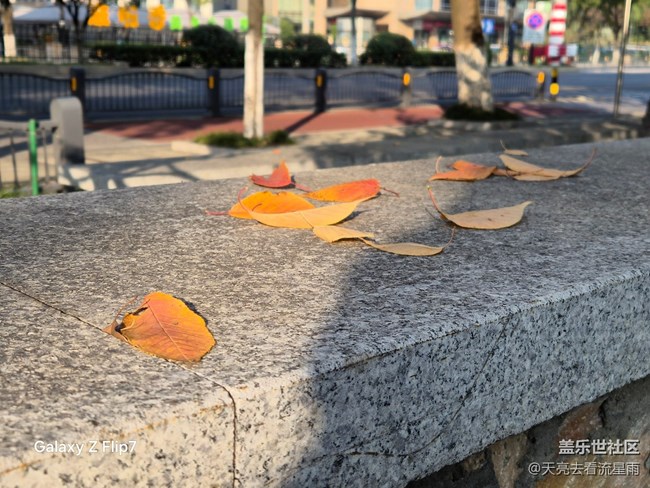 三星Galaxy Z Flip7评测:掌心折叠间的科技美学体验 三星Galaxy Z Flip7评测:掌心折叠间的科技美学体验