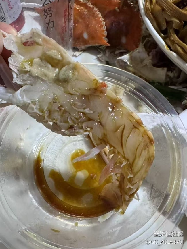 【岁末食欢愉】胡吃海喝