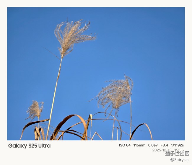 Galaxy S25 Ultra随手拍