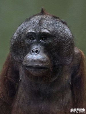 【时光留痕】+自然的魅力