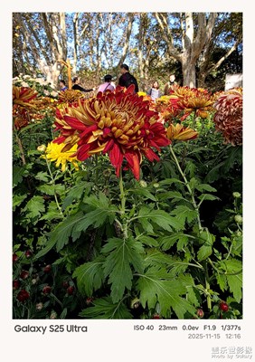 【时光留痕】+一年四季