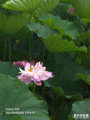 【时光留痕】+2025的春夏秋