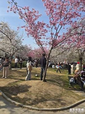 【时光留痕】+留恋2025