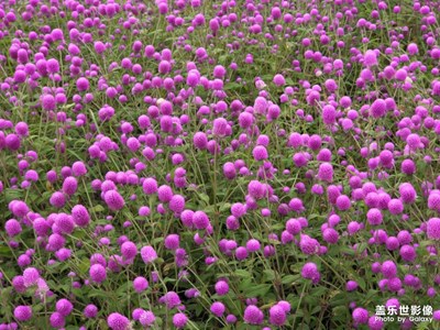 【时光留痕】+我的2025