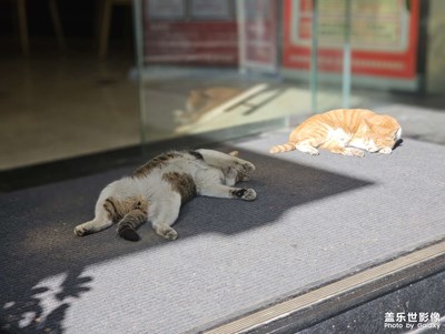 不讲道理发烂渣的家伙