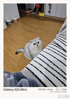 【时光留痕】+我的2025