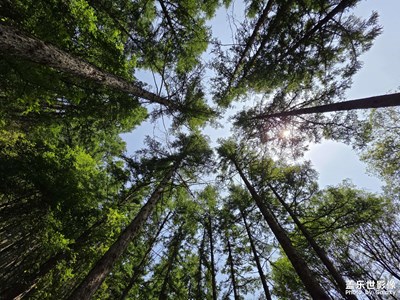 【时光留痕】+回忆2025