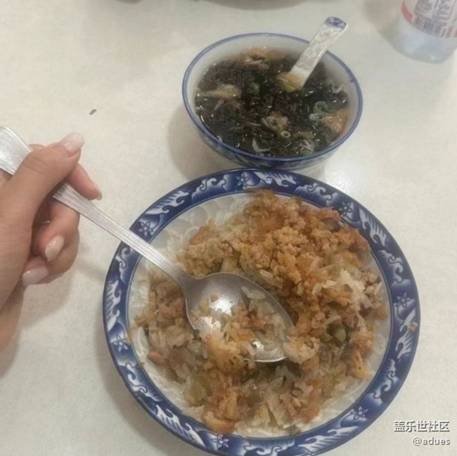 【岁末食欢愉】糯米饭