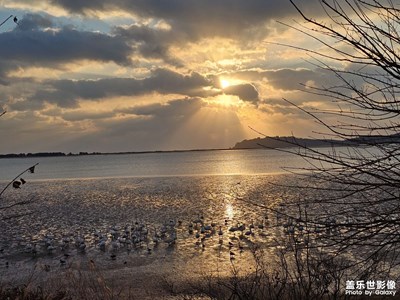 【岁月留痕】我的2025