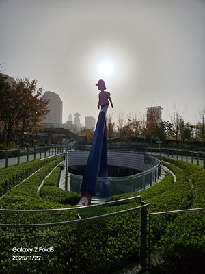 【时光留痕】大象与滑板鞋