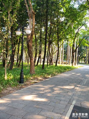 【时光留痕】2025的时光