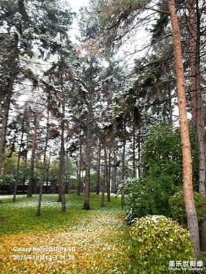 【时光留痕】+我的2025