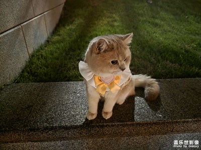 【时光留痕】+无意感触