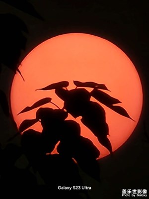 【时光留痕】25年好看照片