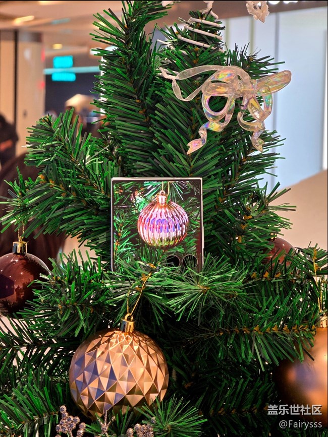 Galaxy Z Flip7在哪里？