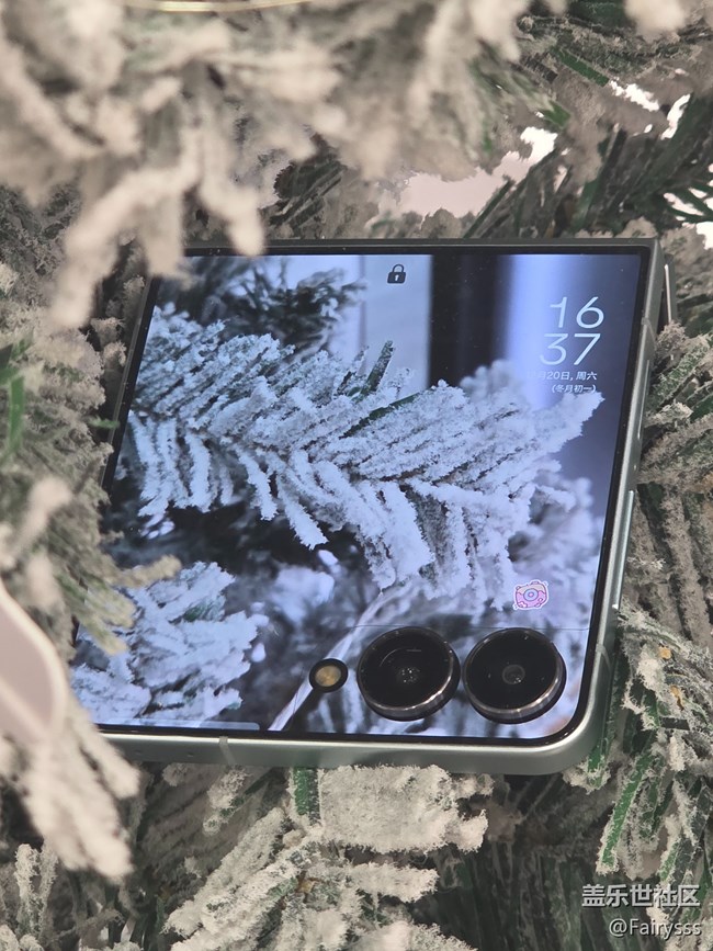 Galaxy Z Flip7在哪里？