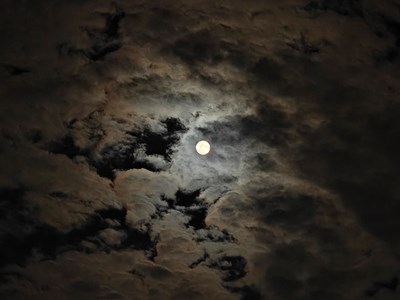 【时光留痕】2025的一些随拍