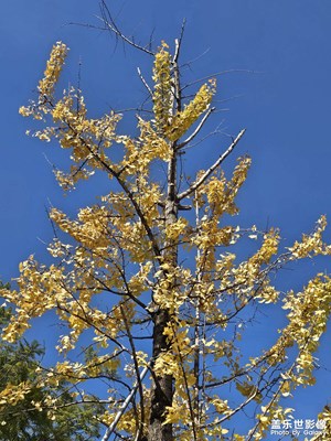 【时光留痕】+25年末